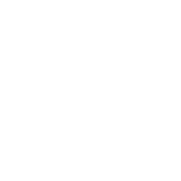 Prev