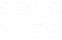 Colorize Logo